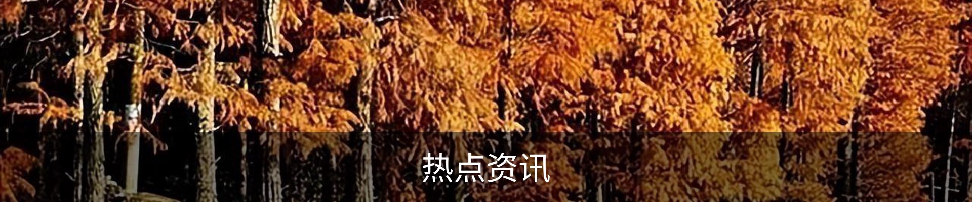 热点资讯