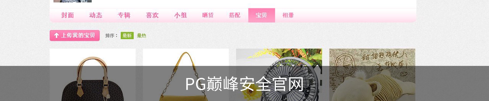 PG巅峰安全官网
